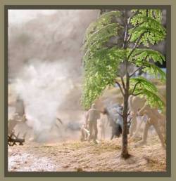 heracwmaples.jpg