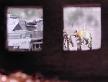 tankwindow.jpg
