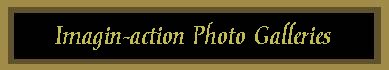 gold imaginaction photo galleries.jpg